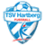 TSV Hartberg vs Austria Lustenau - Predictions, Betting Tips & Match Preview